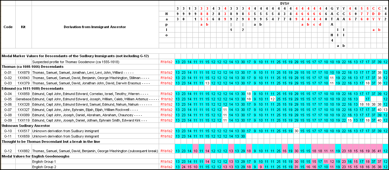 Goodenow DNA results